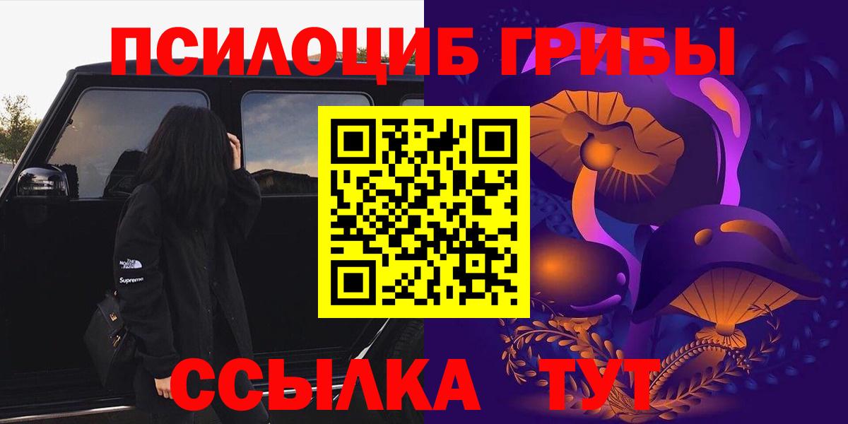 Новотроицк  Галлюциногенные грибы Psilocybe  купить наркотик  Вход с VPN 